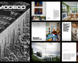 Aldric Lamblin – Design graphique