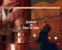 Aldric Lamblin – Design graphique