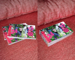 Aldric Lamblin – Design graphique