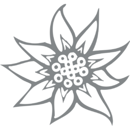 Aldric Lamblin – Design graphique